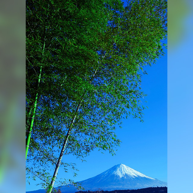 2026 ときめきの富士カレンダー