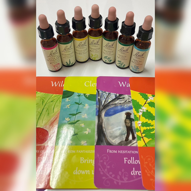 フラワーエッセンスで人生向上委員会